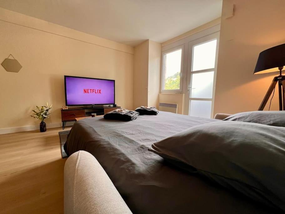 Appartement Climatise 4Prsn Au Pied De La Citadelle Besançon Exteriör bild